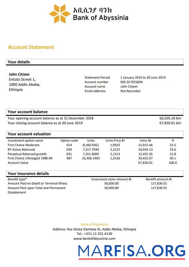Realistic Ethiopia Bank of Abyssinia bank statement word download for verification
